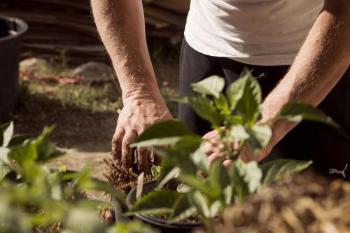 5 ok, ami miatt érdemes kertészkedni